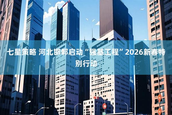 七星策略 河北邯郸启动“强基工程”2026新春特别行动
