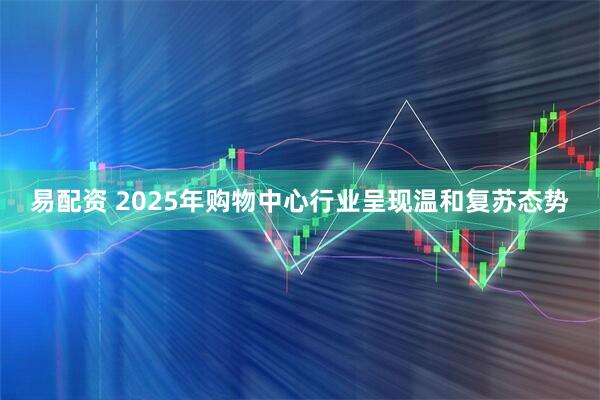 易配资 2025年购物中心行业呈现温和复苏态势