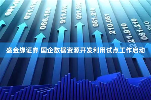 盛金缘证券 国企数据资源开发利用试点工作启动